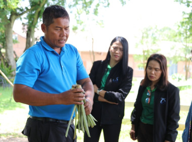 เยี่ยมชมโรงงานแปรรูปสับปะรดลูกหลานเกษตรกรกลับบ้านและตรวจเยี่ยม ติดตาม แนะนำ การดำเนินการสหกรณ์โคนมเชียงราย ... พารามิเตอร์รูปภาพ 10